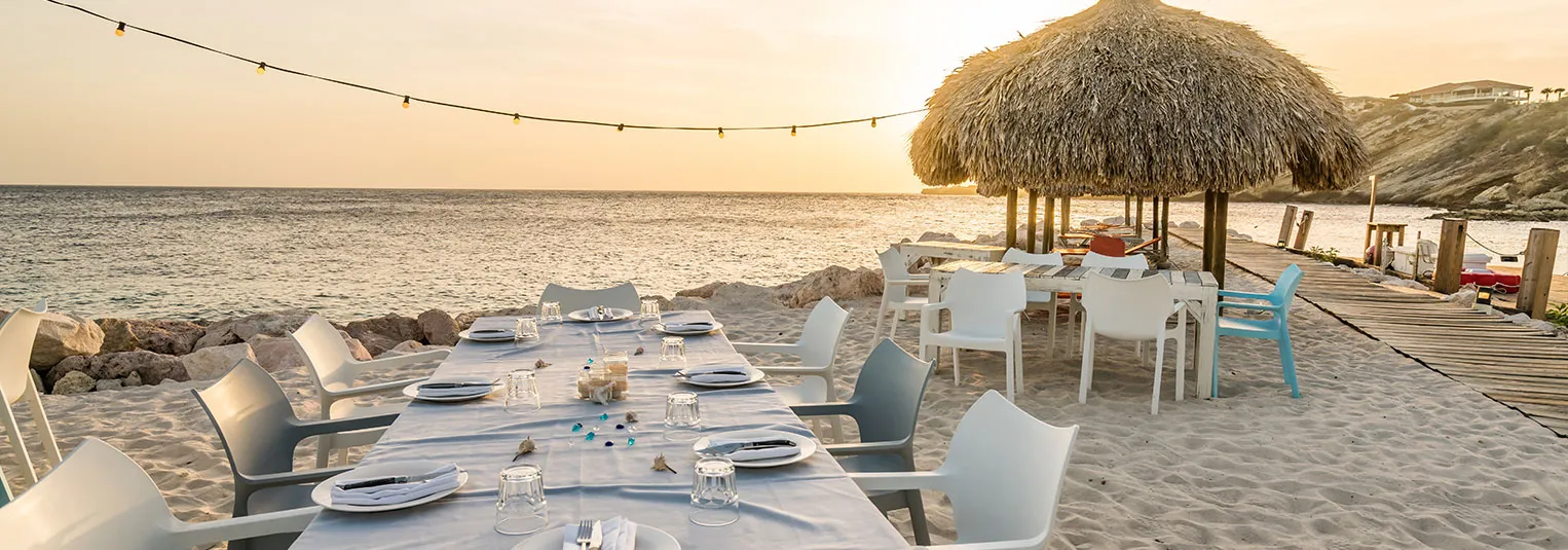 banner-what-is-the-worth-of-a-dominican-republic-excursion-1